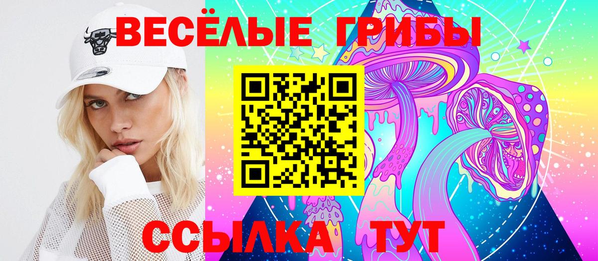 Псилоцибиновые грибы Psilocybine cubensis Новороссийск